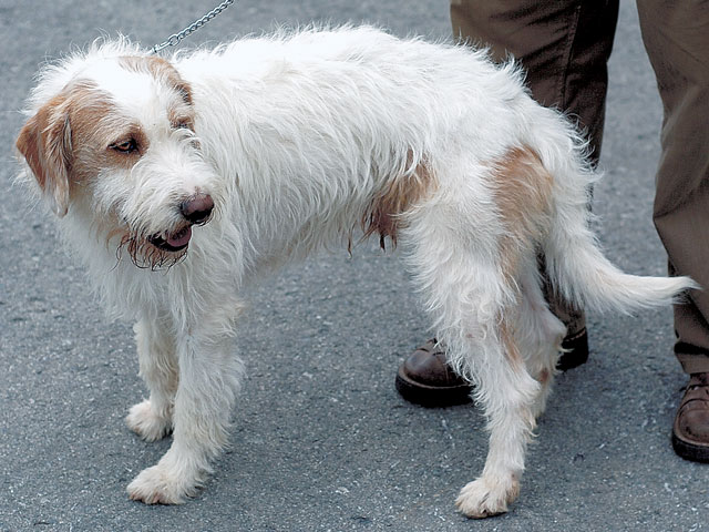 �����Ƒ��Ɍ}����O��